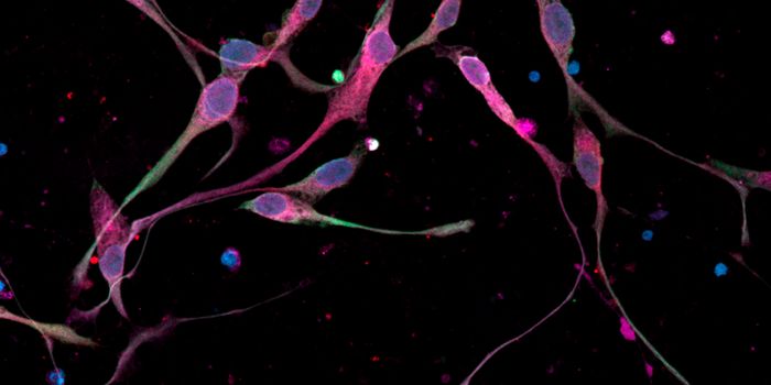 The Fight Against Lethal Childhood Brain Cancers