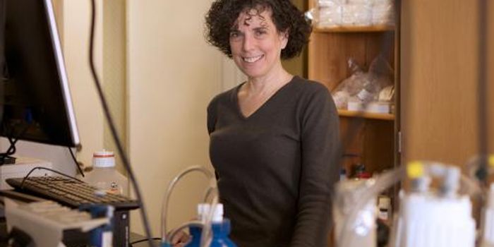 Clues into Cognitive Dysfunction in Chronic Fatigue Syndrome