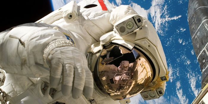Space Travel Significantly Changes Gene Expression in Immune Cells