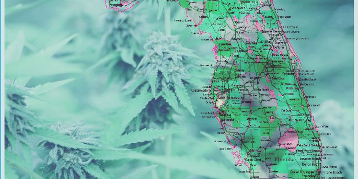 Florida Won't Cap THC for Patients Under 21