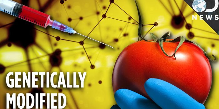 Is There Actually a Such Thing as Natural Food Anymore?