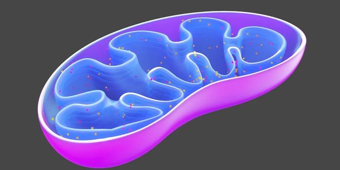 A Mitochondrial DNA Mutation that Alters Immunity