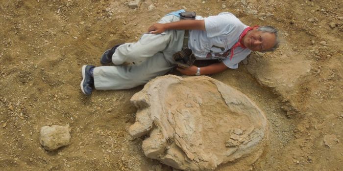 Dinosaur Footprint From the Gobi Desert is One of the Largest Ever Found