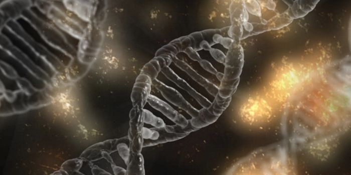 Severe Genomic Damage in Human Embryos Treated With CRISPR