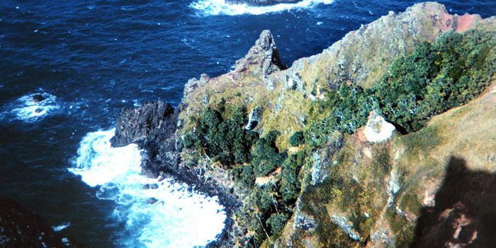 Huge Ocean Reserve Created Near the Resting Place of the HMS Bounty