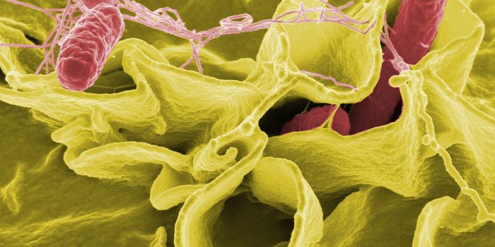 Routine Vaccinations Can Help Fight Cancer