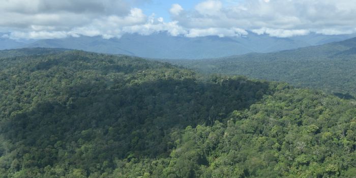 Papua New Guinea establishes largest conservation area yet