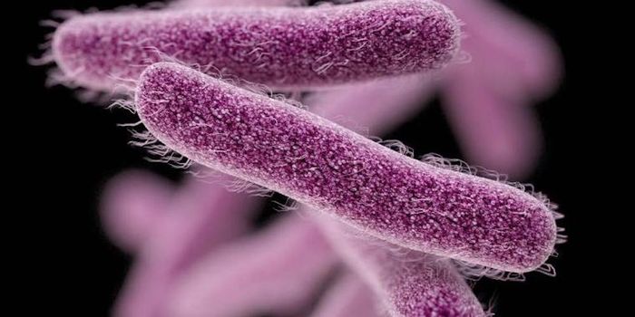 How Septin Proteins Can Identify and Entrap a Pathogen