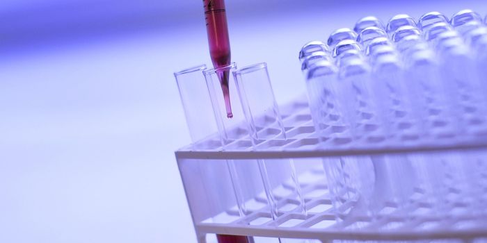 Specialized Immune Cells Develop Memory to Target Ovarian Cancer