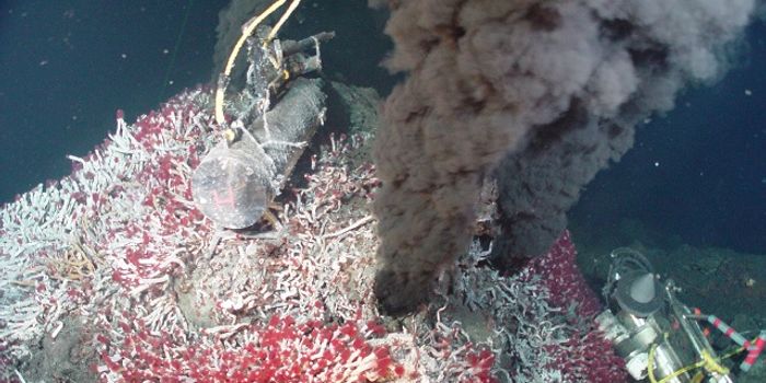 What are the impacts of deep sea mining?
