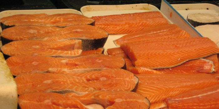 The Green Light is Given for GM Salmon