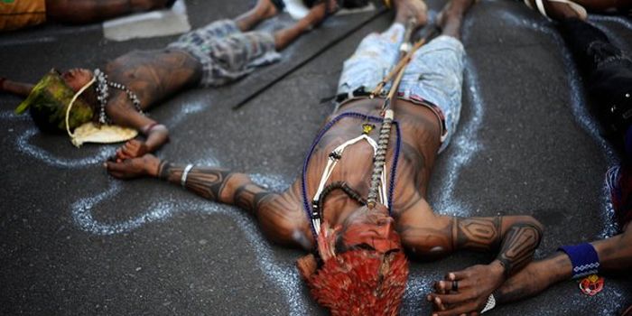 A Gold for Brazil's Environment