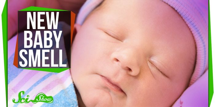 The Science Behind that Irresistibly Sweet Newborn Scent