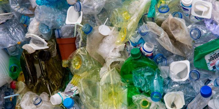 Microplastics Found in Human Lungs. Are They Dangerous?