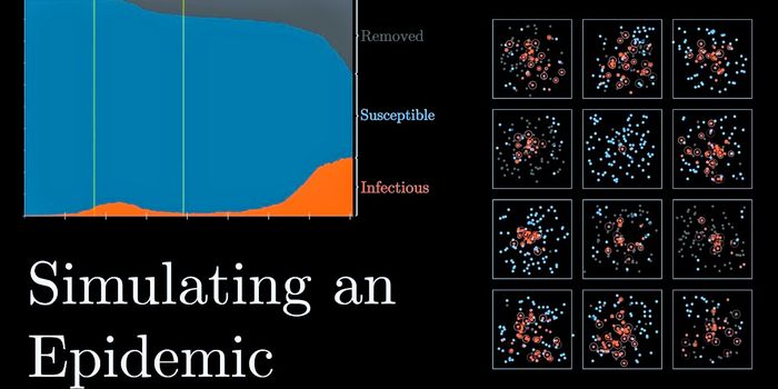 Pandemic in Silico: How Maths Modeling Helps Our COVID Fight