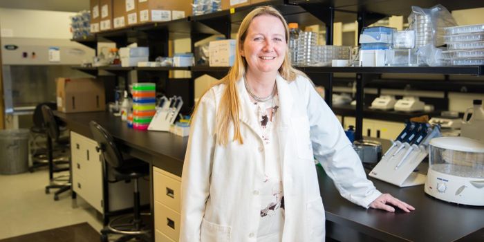 The Gut Microbiome is Linked to Autoimmune Disease