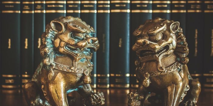 Two Immune Guardians of the Brain Discovered