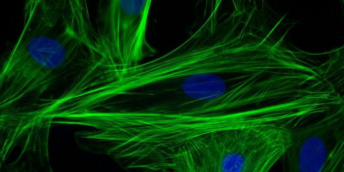 Breathing Life Back Into Diseased Heart Cells