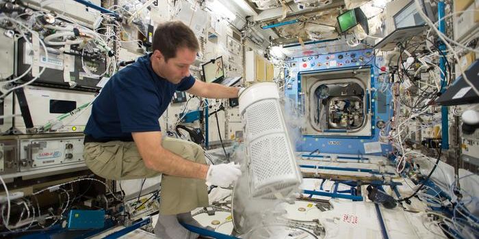 Space Travel's Impact on Blood and Bone: Study Reveals Remarkable Replenishment Mechanism