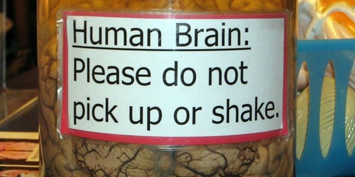 Bringing Brains Back From the Dead