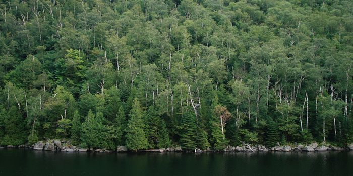 How to Help Plants Thrive While Reducing Fertilizer Use