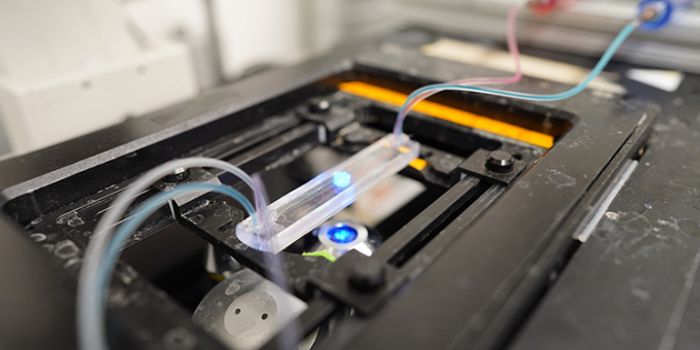 Biomagents for Drug Discovery