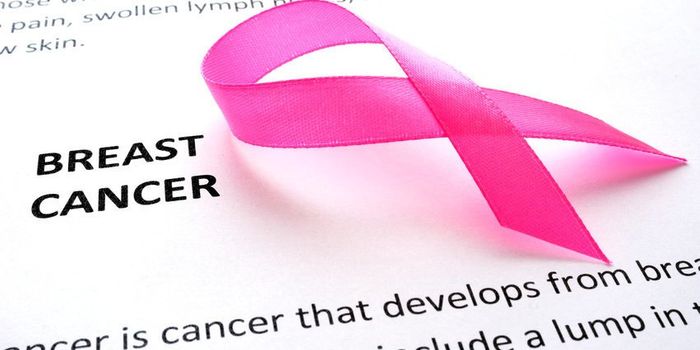 Gene Therapy with MicroRNAs Can Suppress Cancer Metastasis