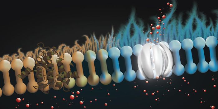Antifungal Drug May Bring Relief to CF Patients