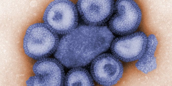 It's Time for Your Annual Flu Shot