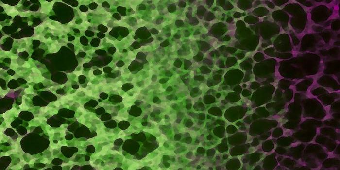 A Cellular Adaptation to Aging is Revealed