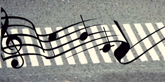 Locals Beg for Removal of Singing Road