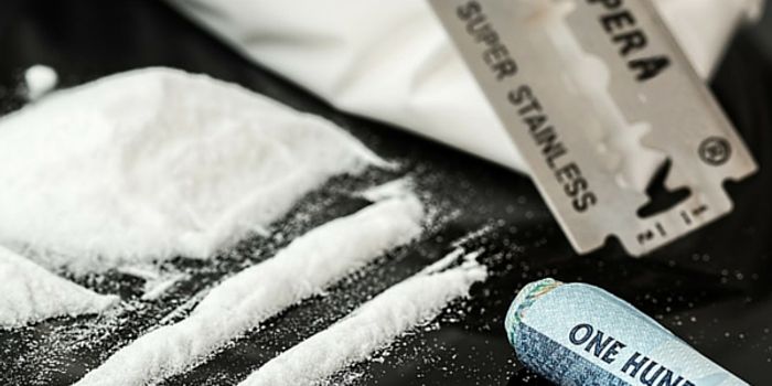 Cocaine Can Cause Cells To Cannibalize Themselves