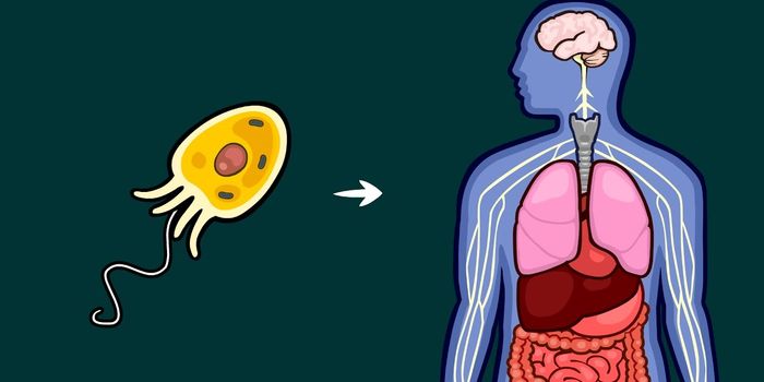 What Causes Major Evolutionary Transitions?