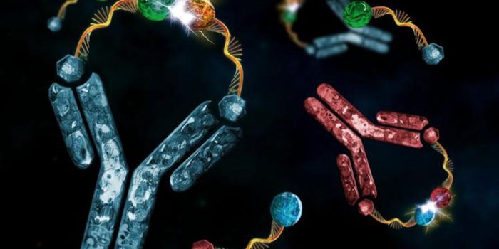 Using Antibodies & Oligonucleotides to Control Specific Reactions