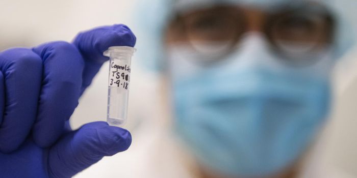 The Gut Microbiome Was More Diverse in Ancient People