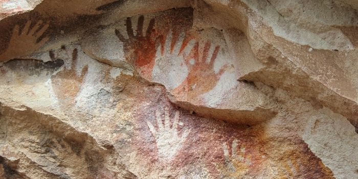 Genetic Studies Reveal the Violent Past of Scandinavian Settlers