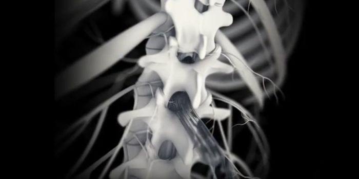 Improving the Lives of Spinal Cord Injury Patients