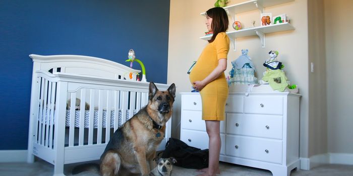 Heart-Warming Time Lapse Shows Growth of Tummy From Conception to Birth