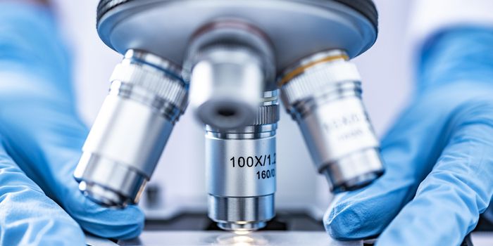 Newly Discovered Immune Function Fights Cancer