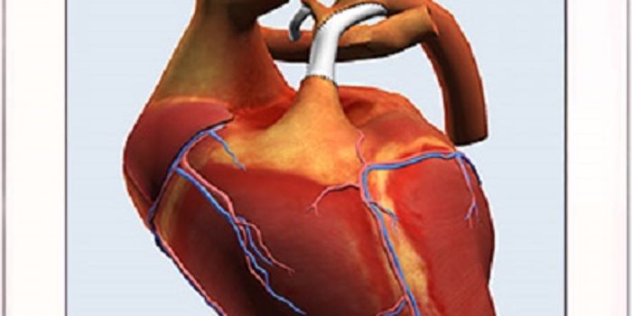 New Free Mobile App Takes Viewer Inside Congenital Heart Defects