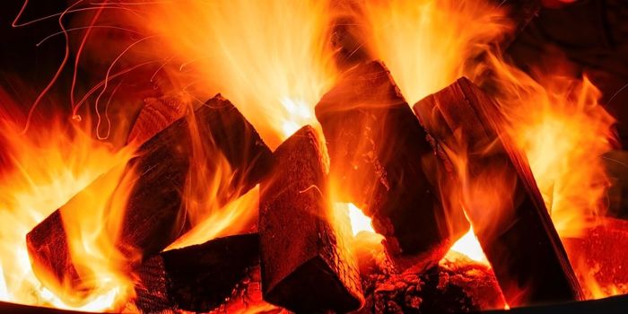 Reduced Sensitivity to Heat Pain in Older Adults