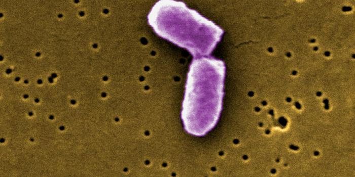 Cryptic Start Sites in the Bacterial Genome Can Generate 'Alternative' Proteins