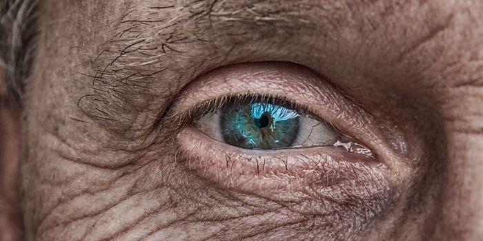 Eye Immunity Redefined: Immune Cells Do Enter the Lens After All