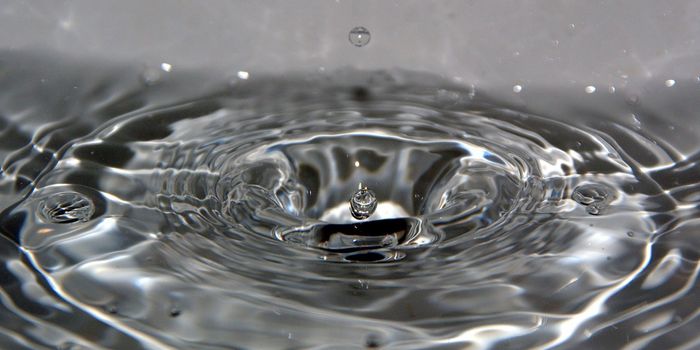 Counting the Environmental & Biological Cost of Bottled Water