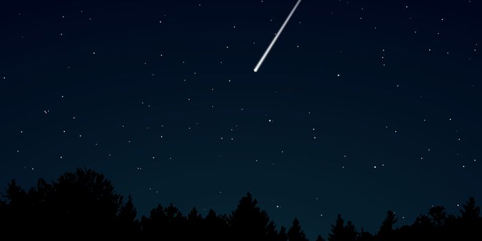 Meteorite Parked in UK Driveway May Hold Clues to Planet Formation, Early Life