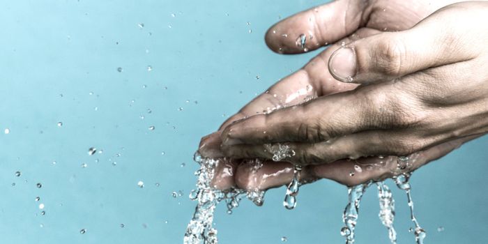 Water filter removes toxic metals with charcoal and whey