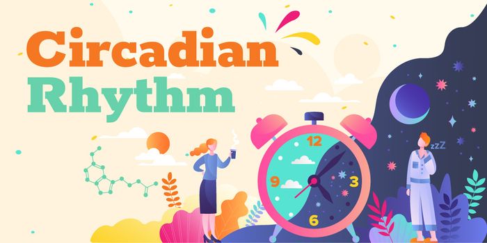Circadian Rhythm 101