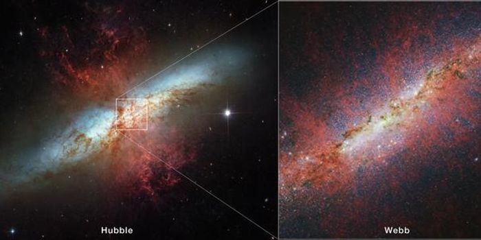 Unveiling the Starburst: James Webb's Survey of Messier 82