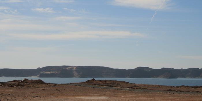 Ancient Sudanese DNA Reveals More About Human History