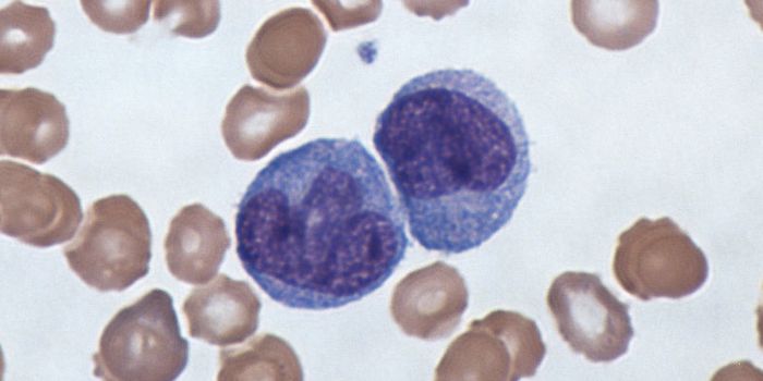 Genes Have an Influence on our Response to Infection